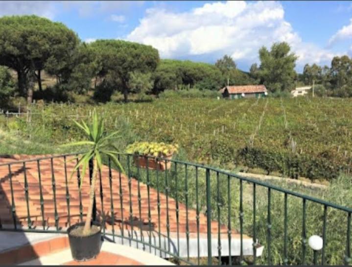 Beb Casale Pompei Rendine Vila Boscotrecase Exterior foto