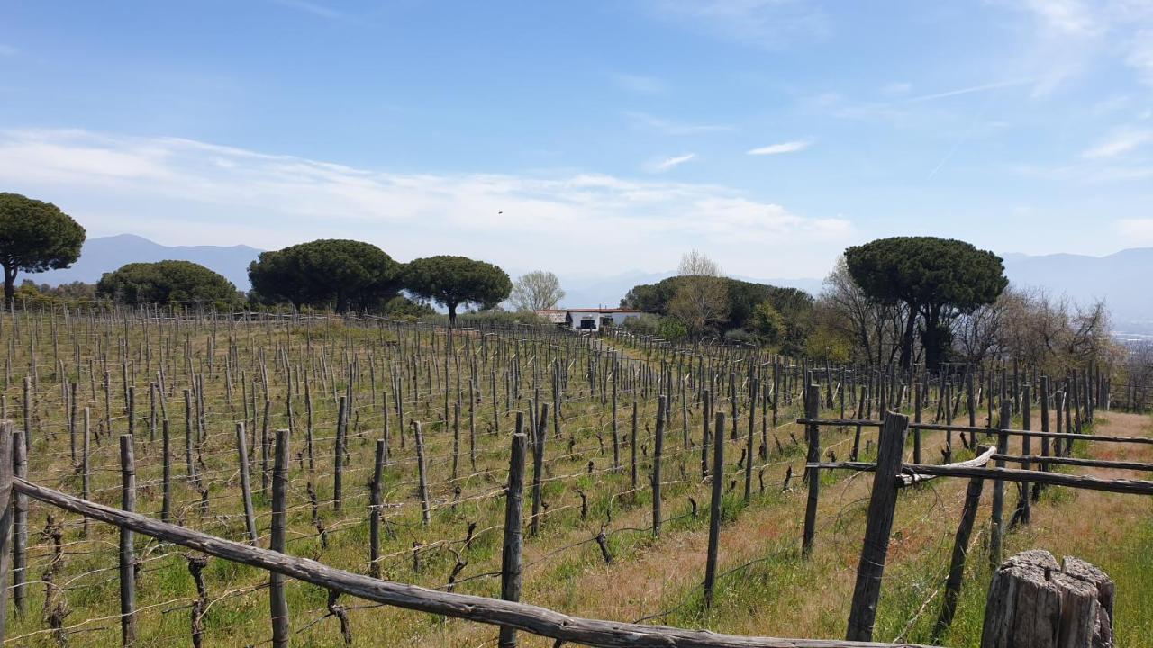 Beb Casale Pompei Rendine Vila Boscotrecase Exterior foto