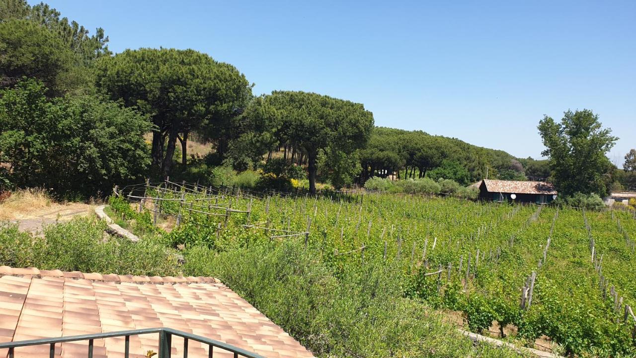 Beb Casale Pompei Rendine Vila Boscotrecase Exterior foto