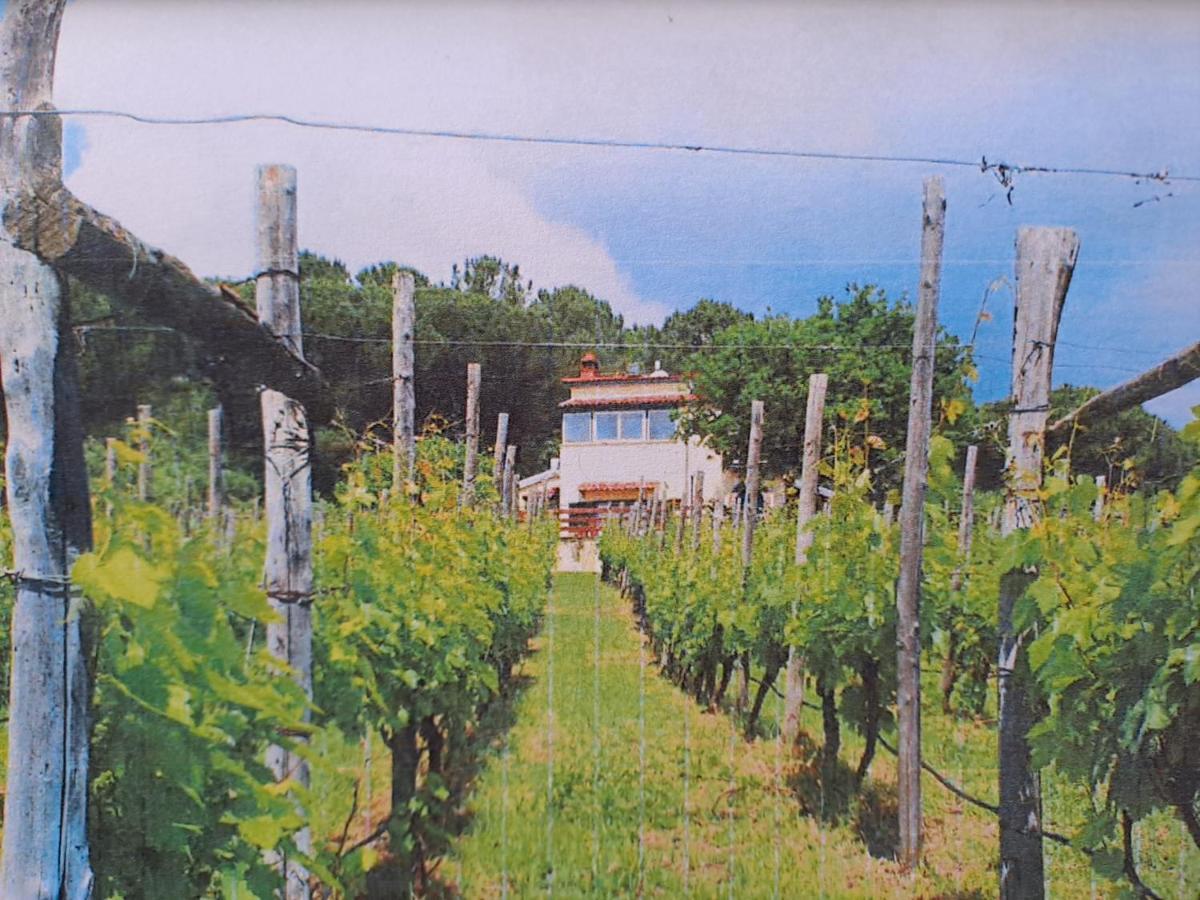 Beb Casale Pompei Rendine Vila Boscotrecase Exterior foto